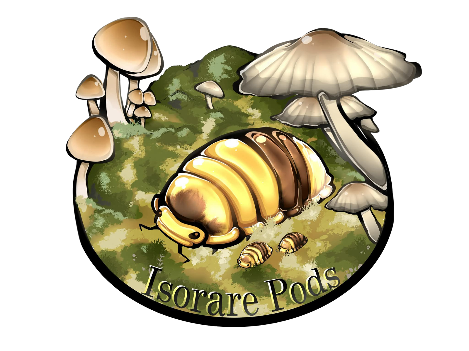 845ab515 8725 4d81 b979 bdea01d4532d