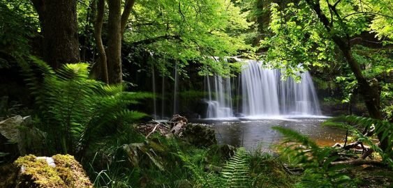 cropped ac46a533b2ed00cc59824f1b184c3bb0 1.jpg