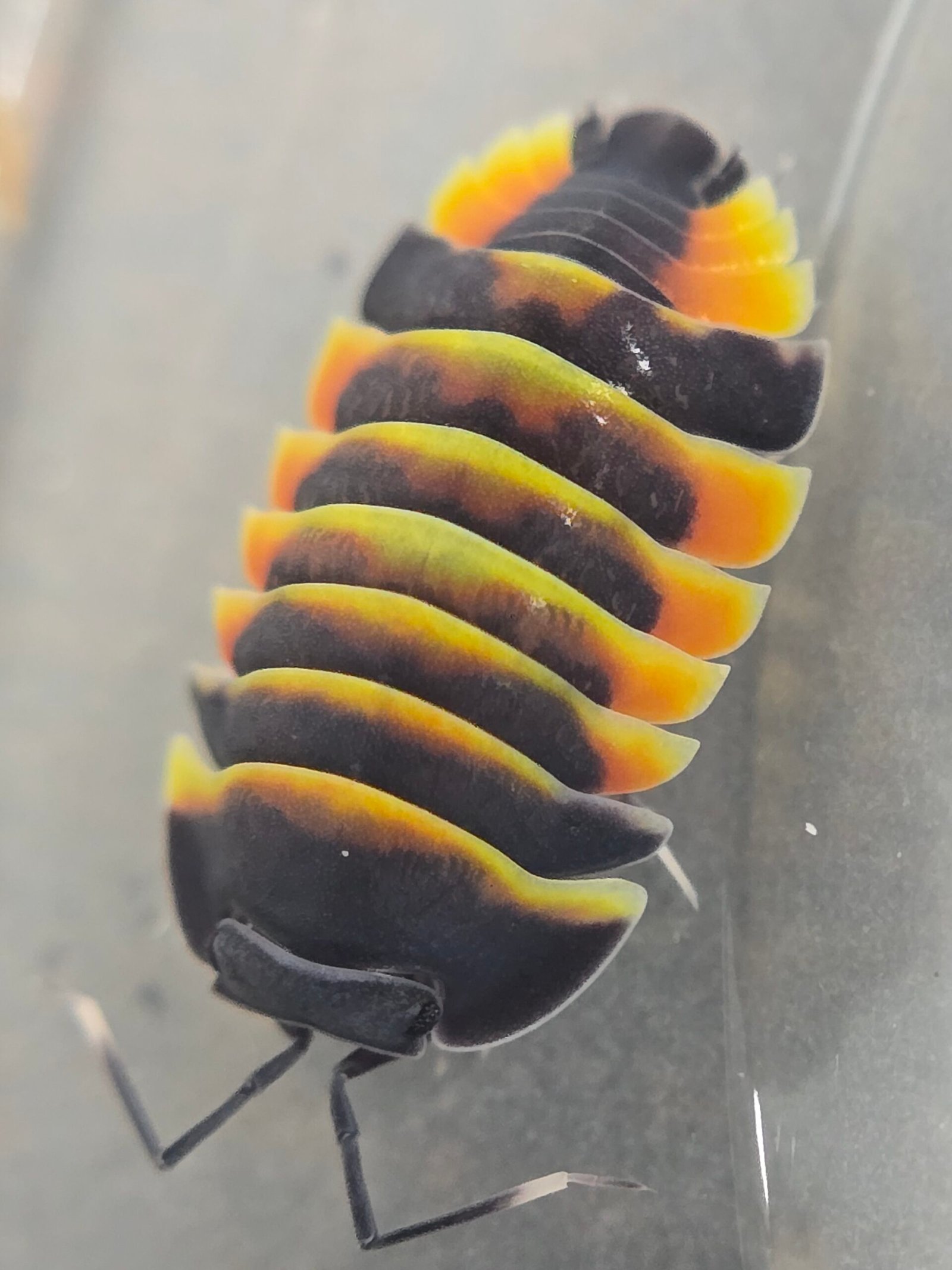 20250428 205429 20250428 205429