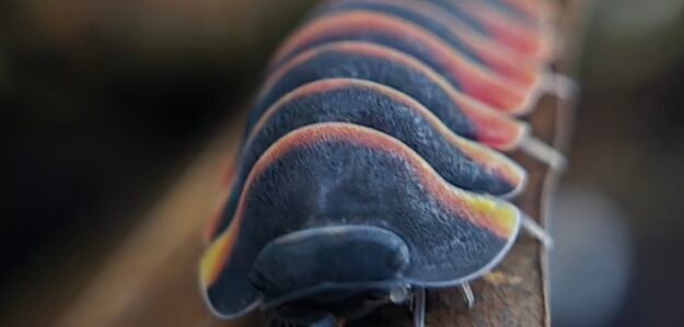 cropped 20250428 220210 scaled 1.jpg