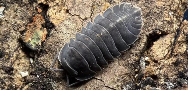 cropped 642834589 122114705031222474 7060087304083015215 n.jpg