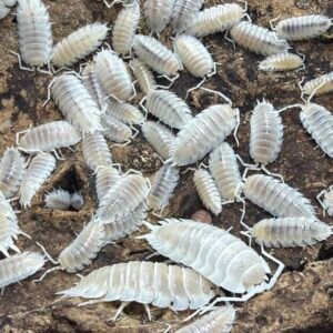 cropped img 2011 1 scaled 1.jpeg