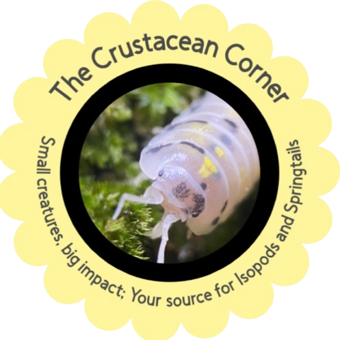 The Crustacean Corner
