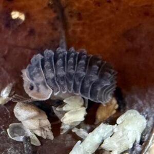 cropped img 5158.jpeg