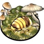 Cropped Messenger Creation E0C0E94D 88D6 4D34 AC62 92232E59C2CB 1 150x150