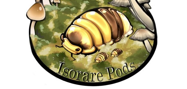 cropped messenger creation e0c0e94d 88d6 4d34 ac62 92232e59c2cb.jpeg