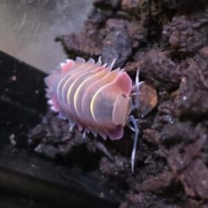 cropped cropped 20250830 152019 scaled 1.jpg