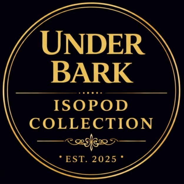 Under Bark Isopods