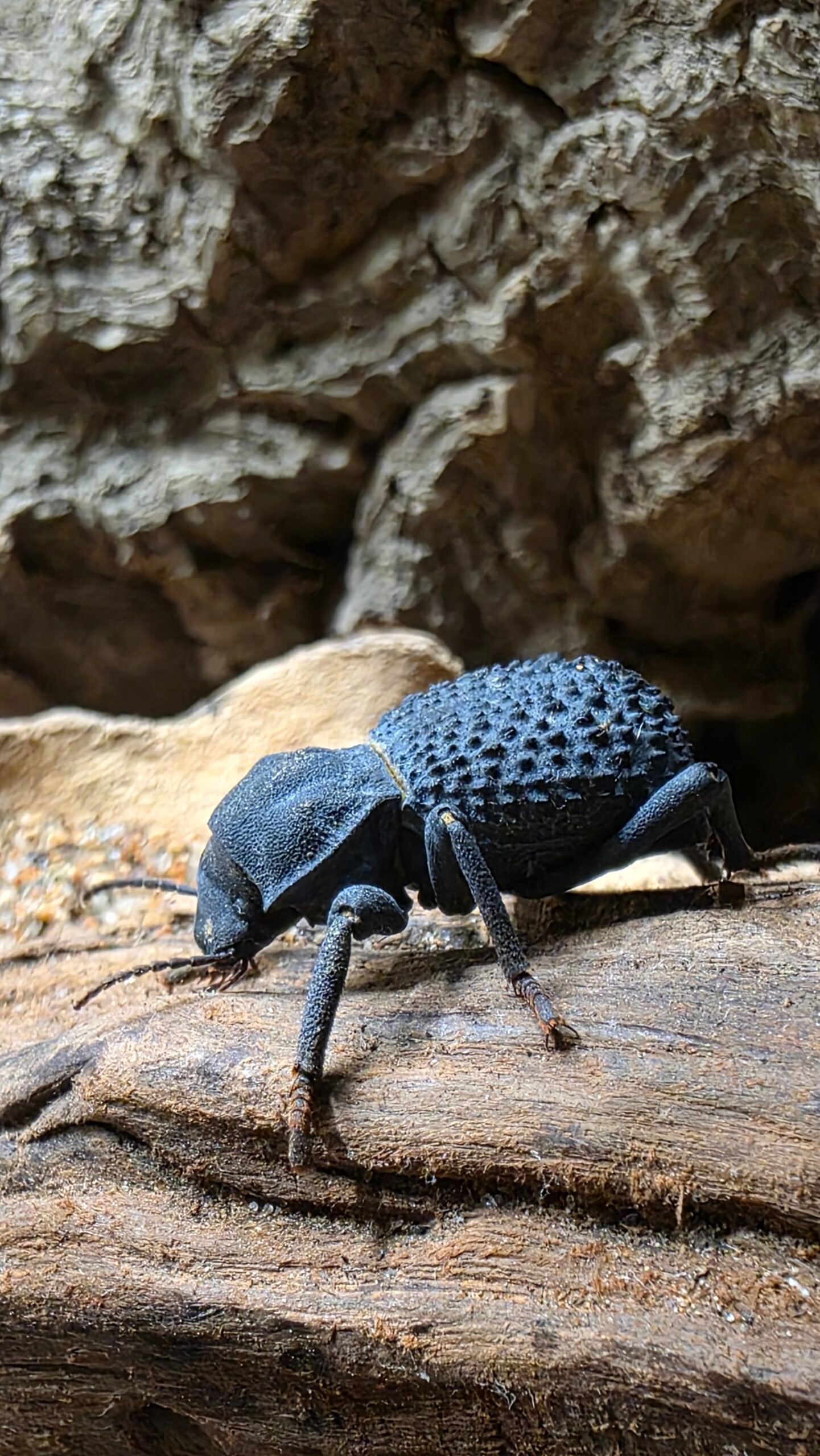 20250206 145409 20250206 145409