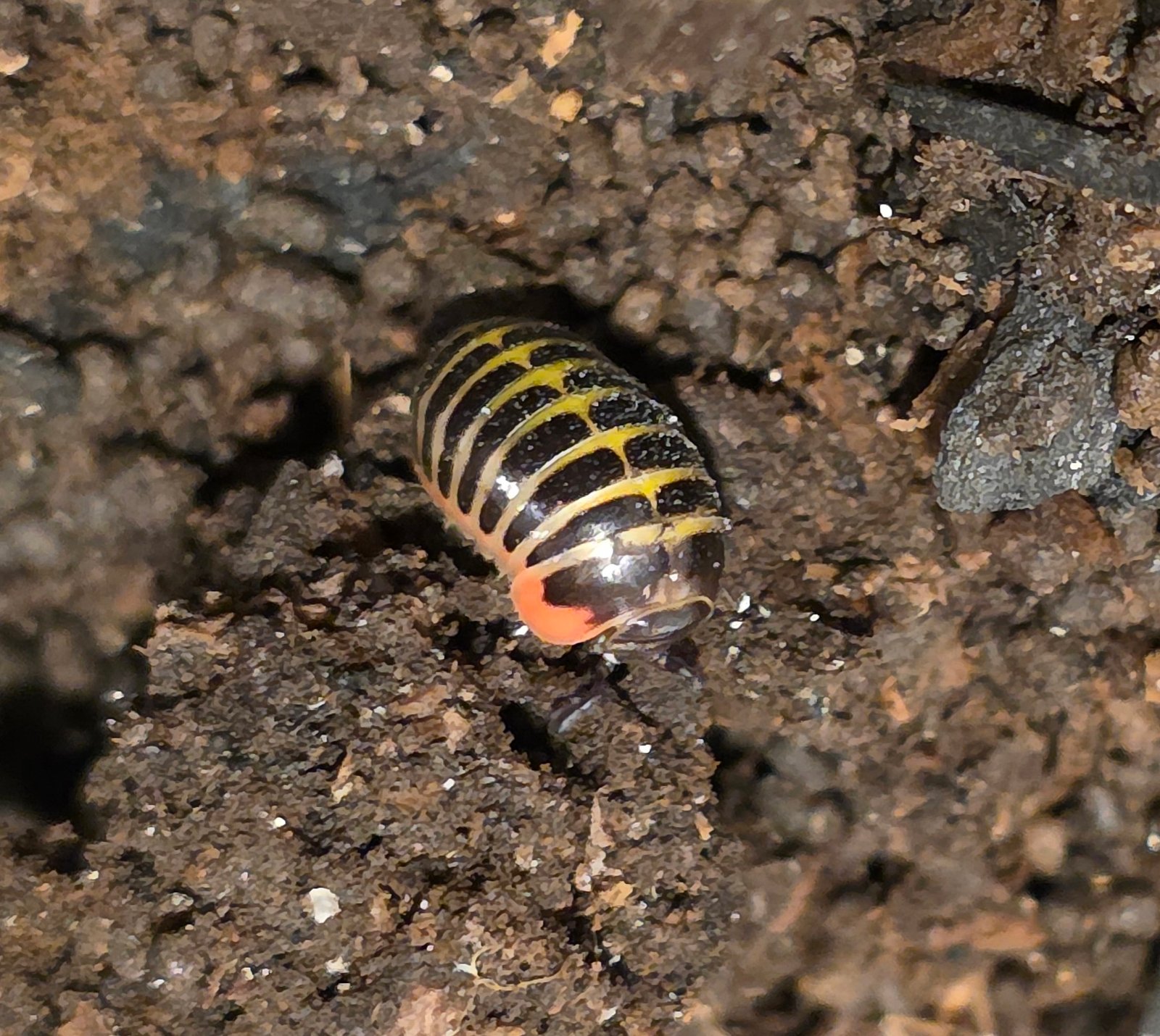 20250812 163307(1) 20250812 163307(1)