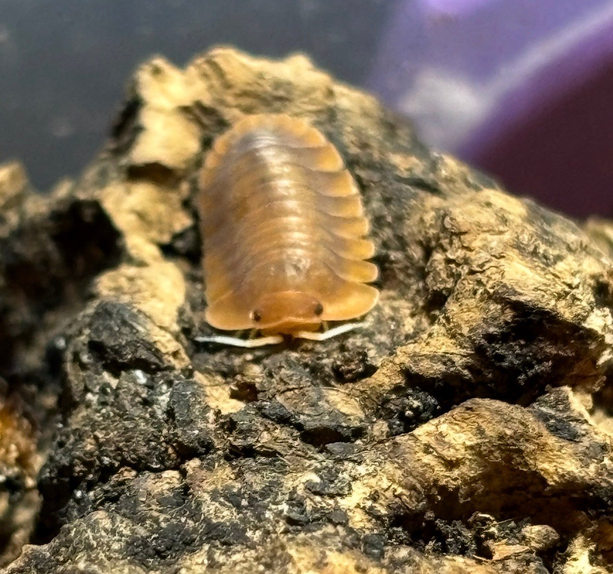 screenshot screenshot