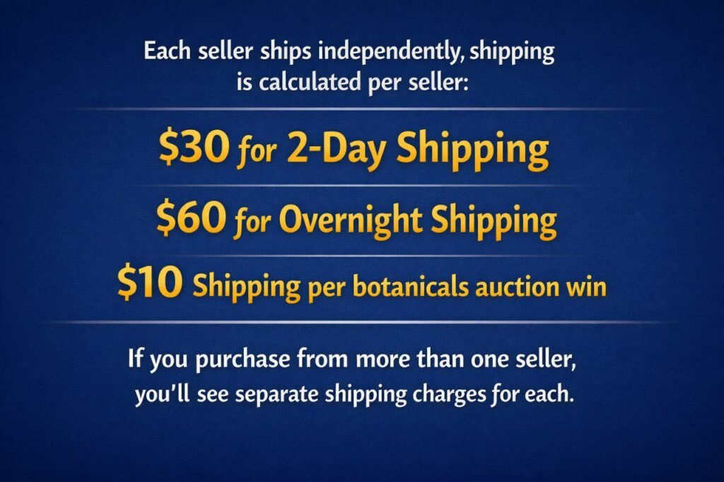 Auctions br2x9l1kt6sg1