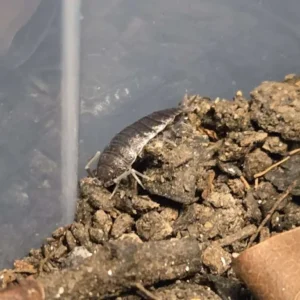 cropped 20251014 140810.webp