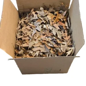 cropped 20260213 142600 2.webp