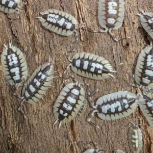 cropped 20260409 190003 scaled 1.jpg