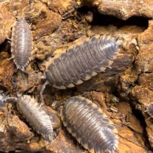 cropped img 0074 1.jpeg