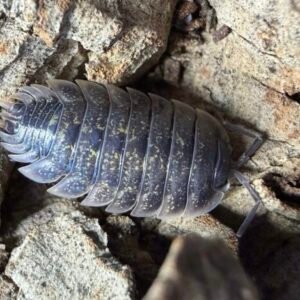 cropped img 0080 scaled 1.jpeg