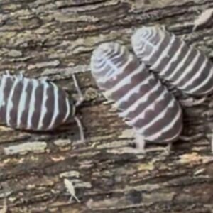 cropped img 0082 1 1.jpeg