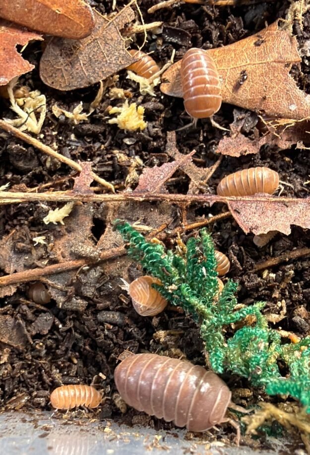 cropped img 0095 scaled 1.jpeg cropped img 0095 scaled 1.jpeg