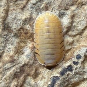 cropped img 0099 scaled 1.jpeg