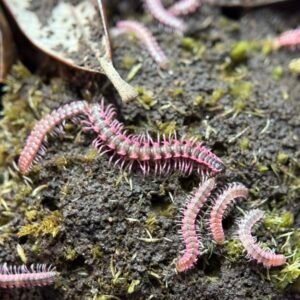 cropped img 1531 scaled 1.jpeg