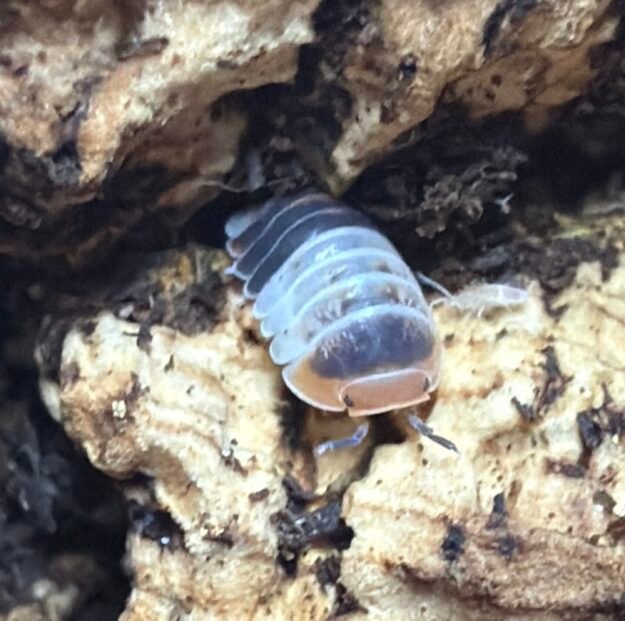 cropped img 2007 1 scaled 1.jpeg cropped img 2007 1 scaled 1.jpeg