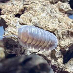 cropped img 2015 1.jpeg