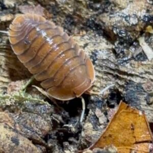 cropped img 2040.jpeg