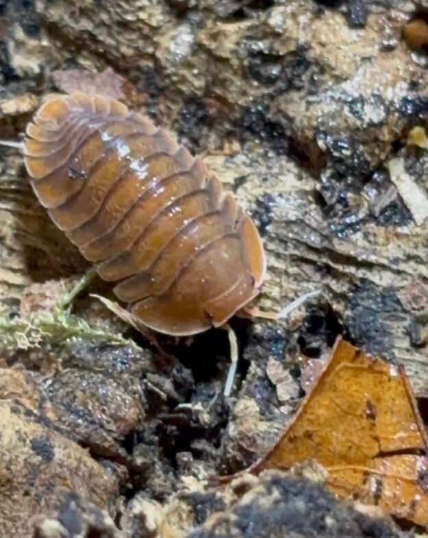 cropped img 2040.jpeg cropped img 2040.jpeg