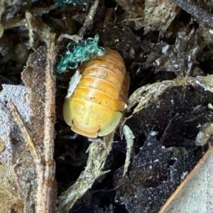 cropped img 2044.jpeg