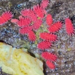 cropped img 2049.jpeg