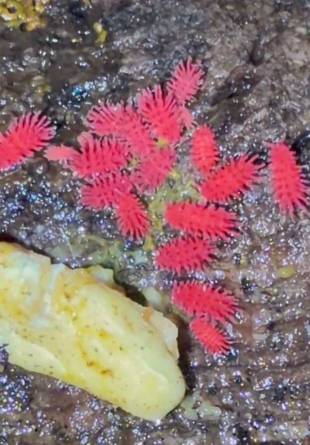 cropped img 2049.jpeg cropped img 2049.jpeg