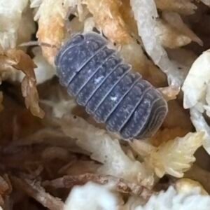 cropped img 2171.jpeg