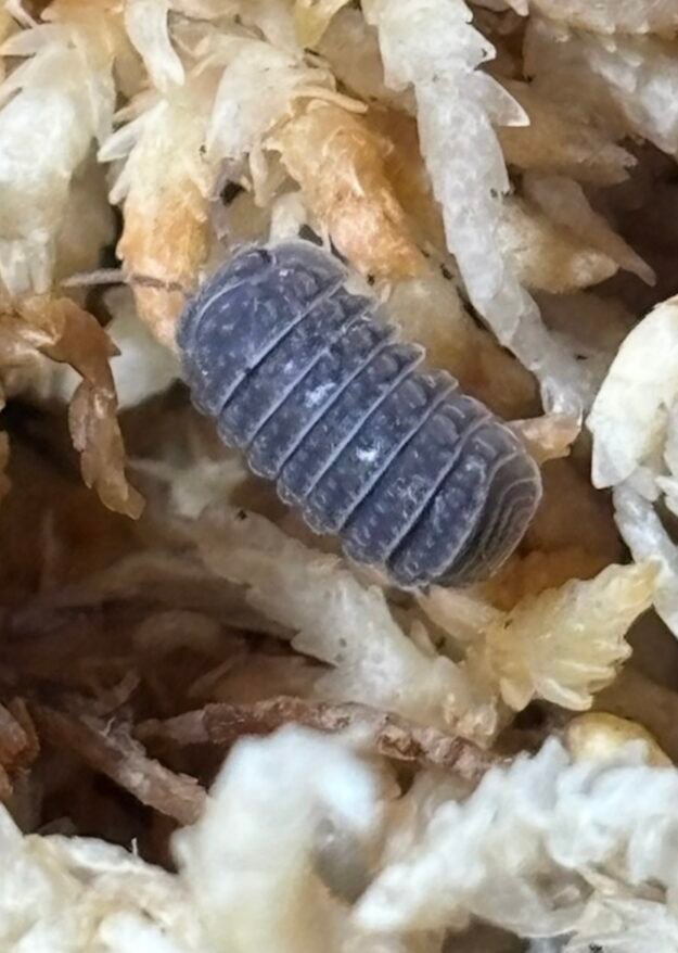 cropped img 2171.jpeg cropped img 2171.jpeg