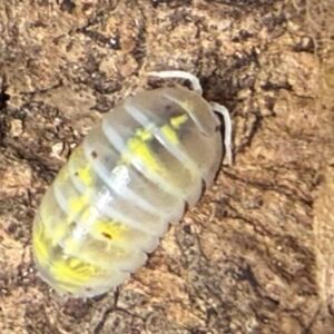 cropped img 2230 scaled 1.jpeg