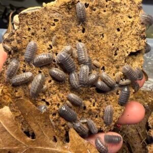 cropped img 2236 scaled 1.jpeg