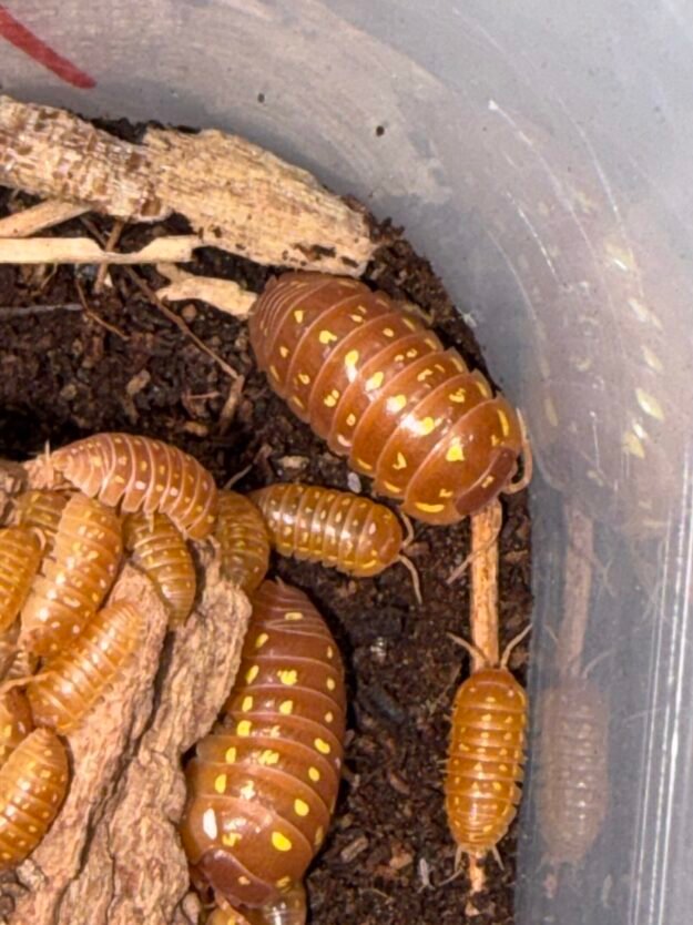 cropped img 2242 scaled 1.jpeg cropped img 2242 scaled 1.jpeg