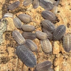 cropped img 2244 scaled 1.jpeg