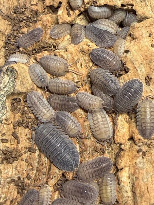 cropped img 2244 scaled 1.jpeg cropped img 2244 scaled 1.jpeg