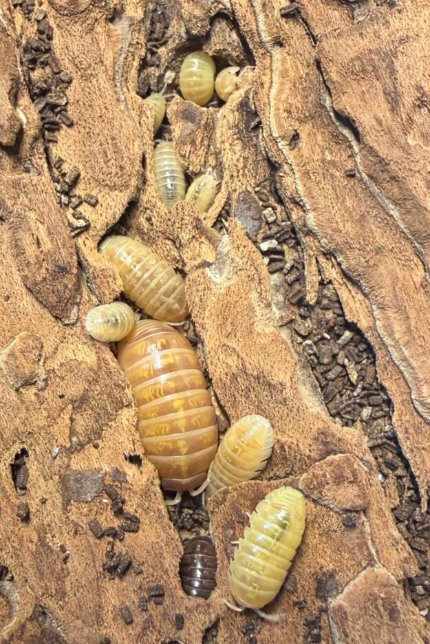 cropped img 2258 scaled 1.jpeg cropped img 2258 scaled 1.jpeg