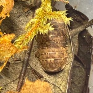 cropped img 2262 scaled 1.jpeg