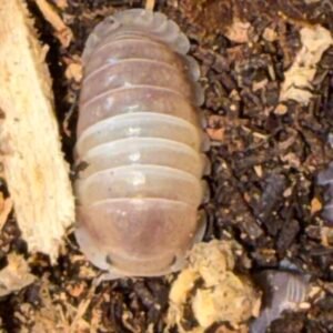 cropped img 2316 scaled 1.jpeg