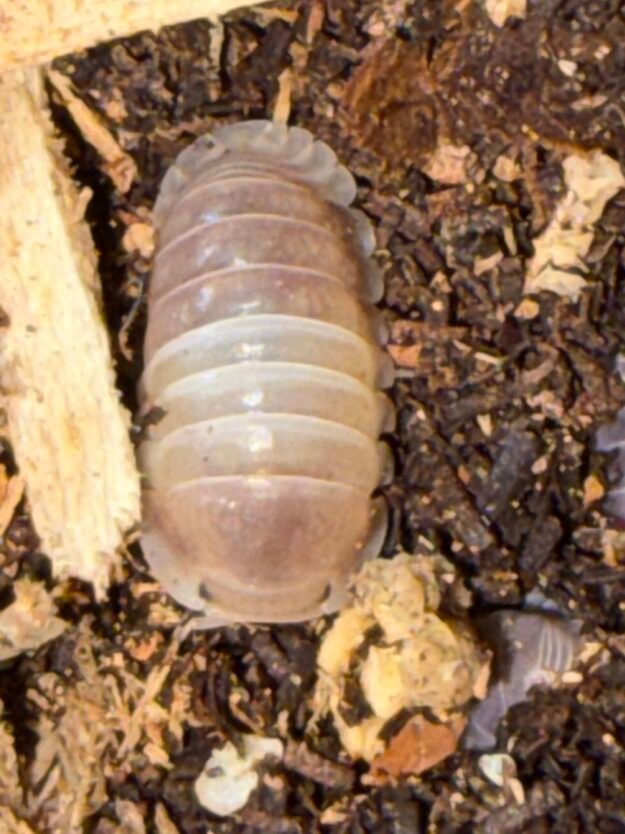 cropped img 2316 scaled 1.jpeg cropped img 2316 scaled 1.jpeg