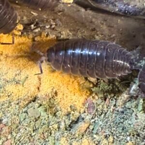 cropped img 2342 scaled 1.jpeg