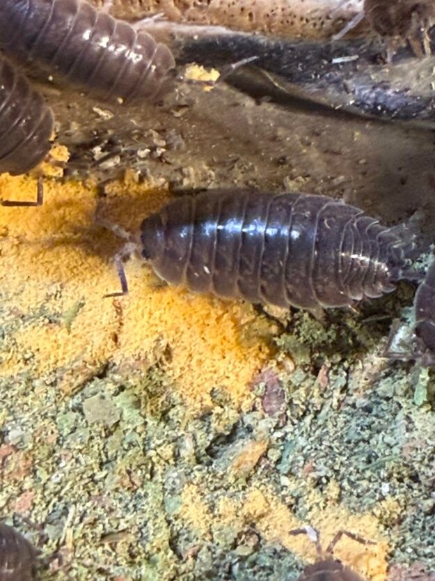 cropped img 2342 scaled 1.jpeg cropped img 2342 scaled 1.jpeg