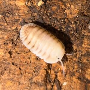 cropped img 2354.jpeg