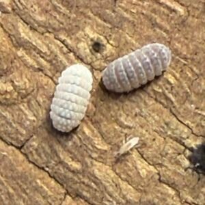 cropped img 2360 scaled 1.jpeg