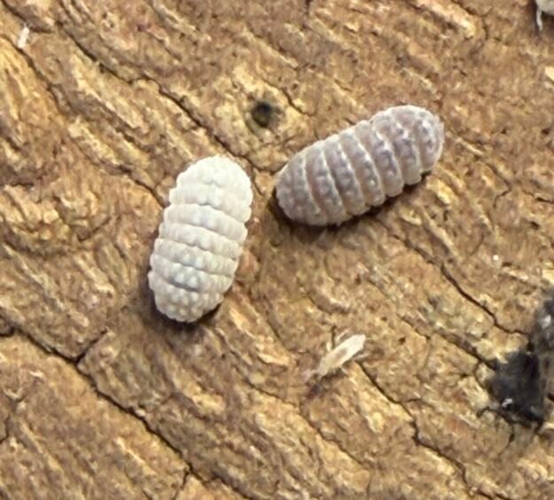 cropped img 2360 scaled 1.jpeg cropped img 2360 scaled 1.jpeg