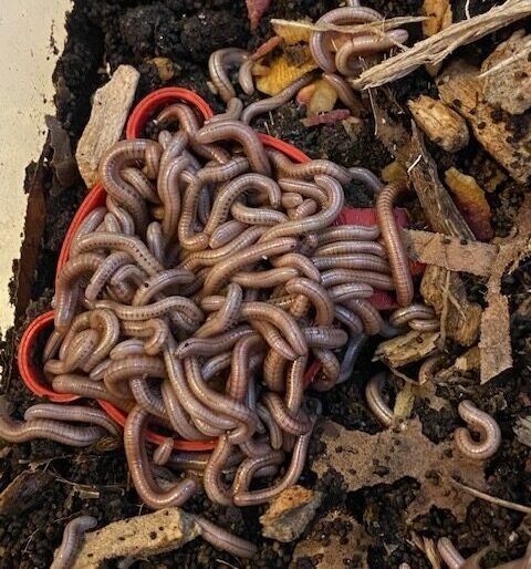 cropped img 3860 rotated 1.jpg cropped img 3860 rotated 1.jpg