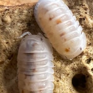 cropped img 3875.jpg